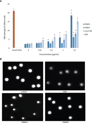 Genotoxic Mechanism of Action of TBBPA, TBBPS and Selected Bromophenols in Human Peripheral Blood Mononuclear Cells